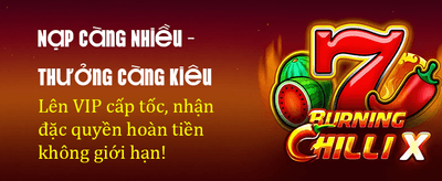 Huge Daily Promotions